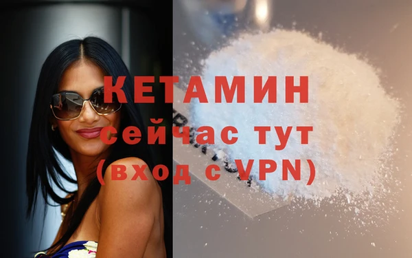 молекула духа Богданович
