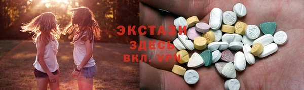 молекула духа Богданович