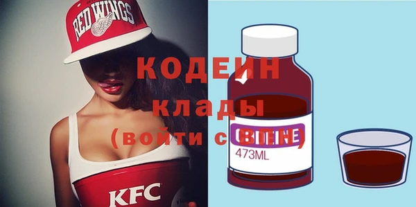 молекула духа Богданович