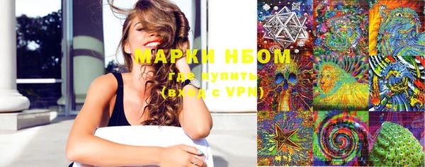 молекула духа Богданович