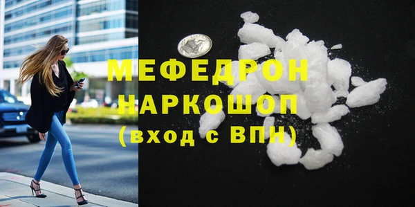 молекула духа Богданович